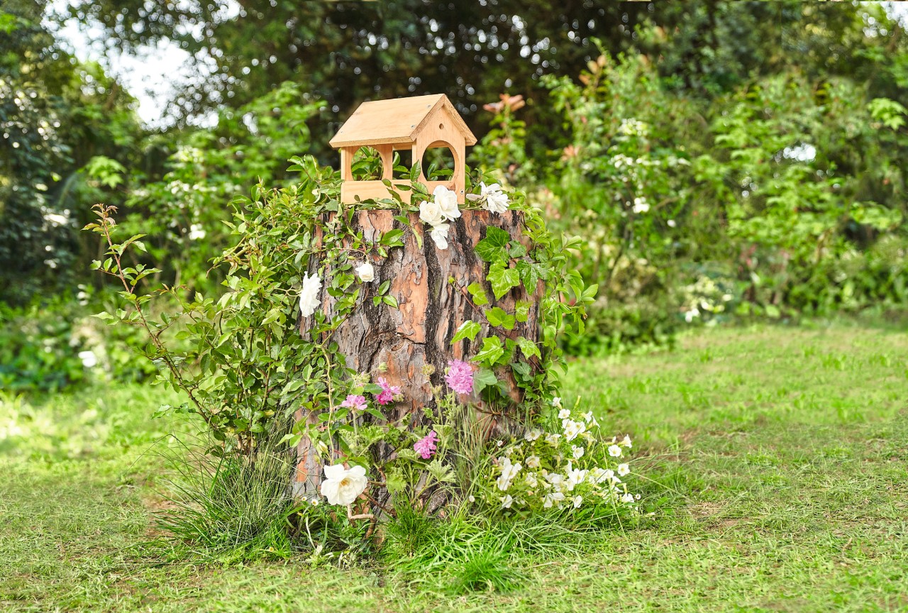 Un bac de fleurs sur une souche d’arbre abandonnée