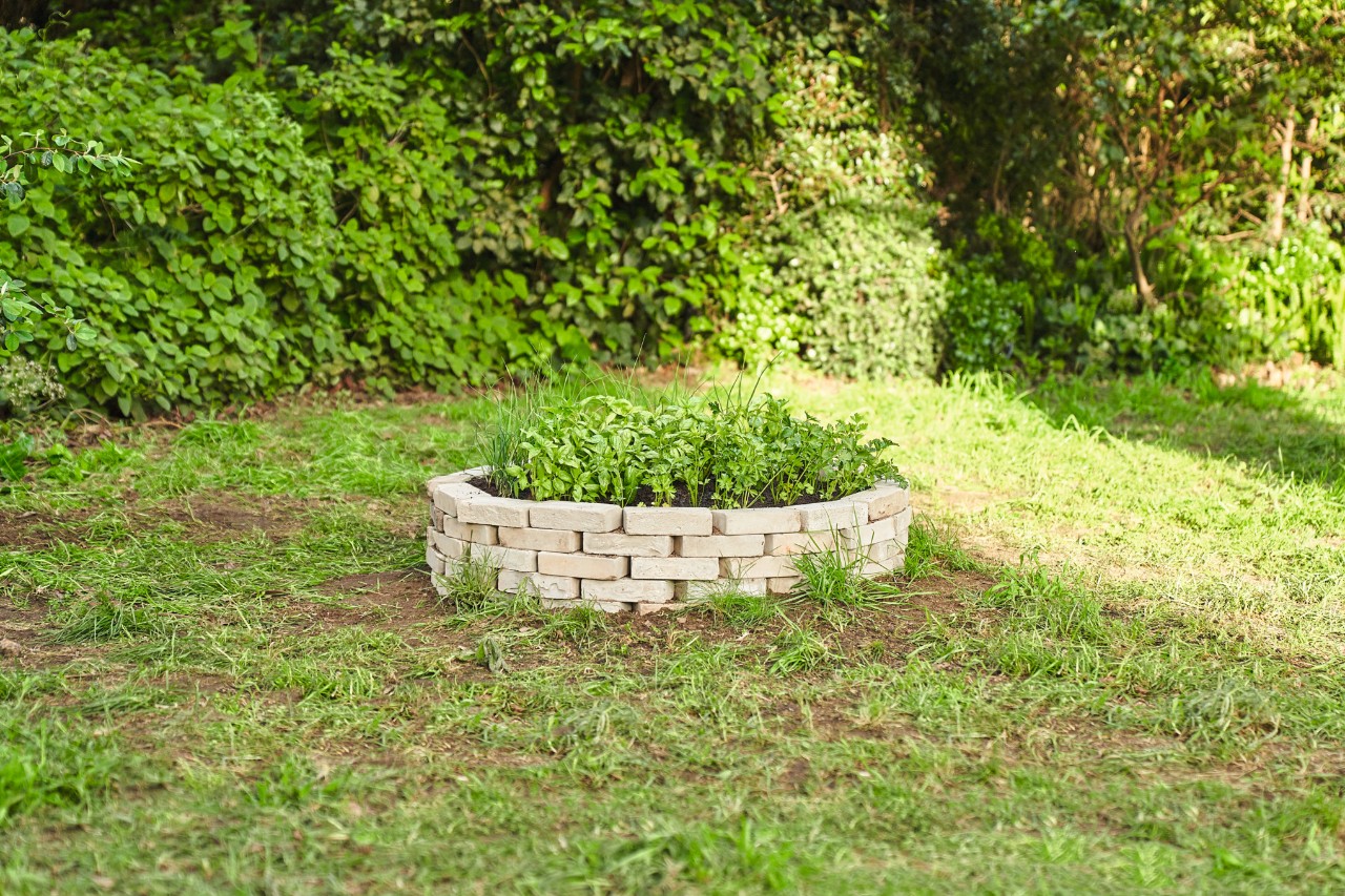 Parterre circulaire bordé de pierres au-dessus d’une vieille souche d’arbre