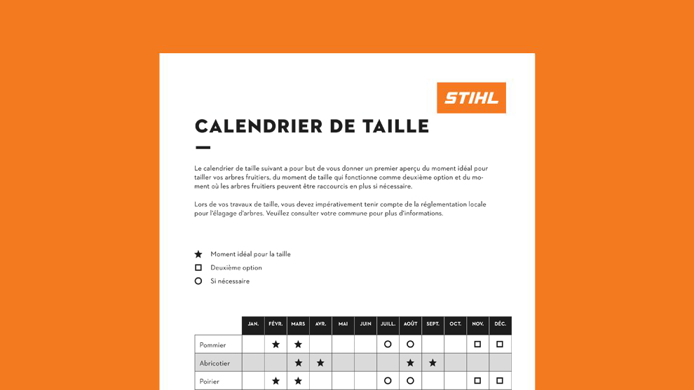 Calendrier de taille : quand tailler les arbres fruitiers ?