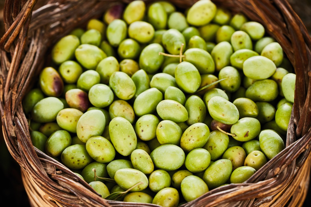 Gros plan sur un panier rempli d’olives
