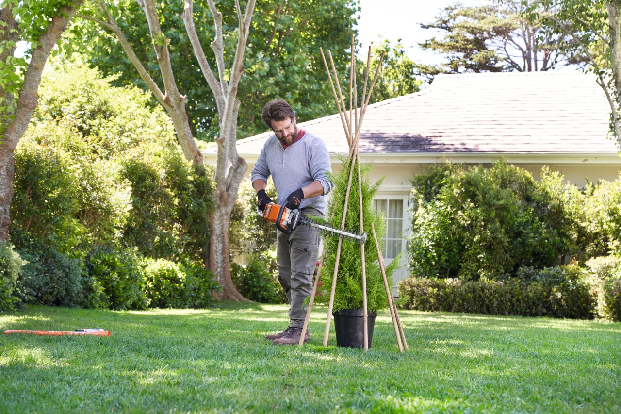 Homme coupe toutes les branches qui dépassent du gabarit en bambou avec un taille-haie à batterie STIHL