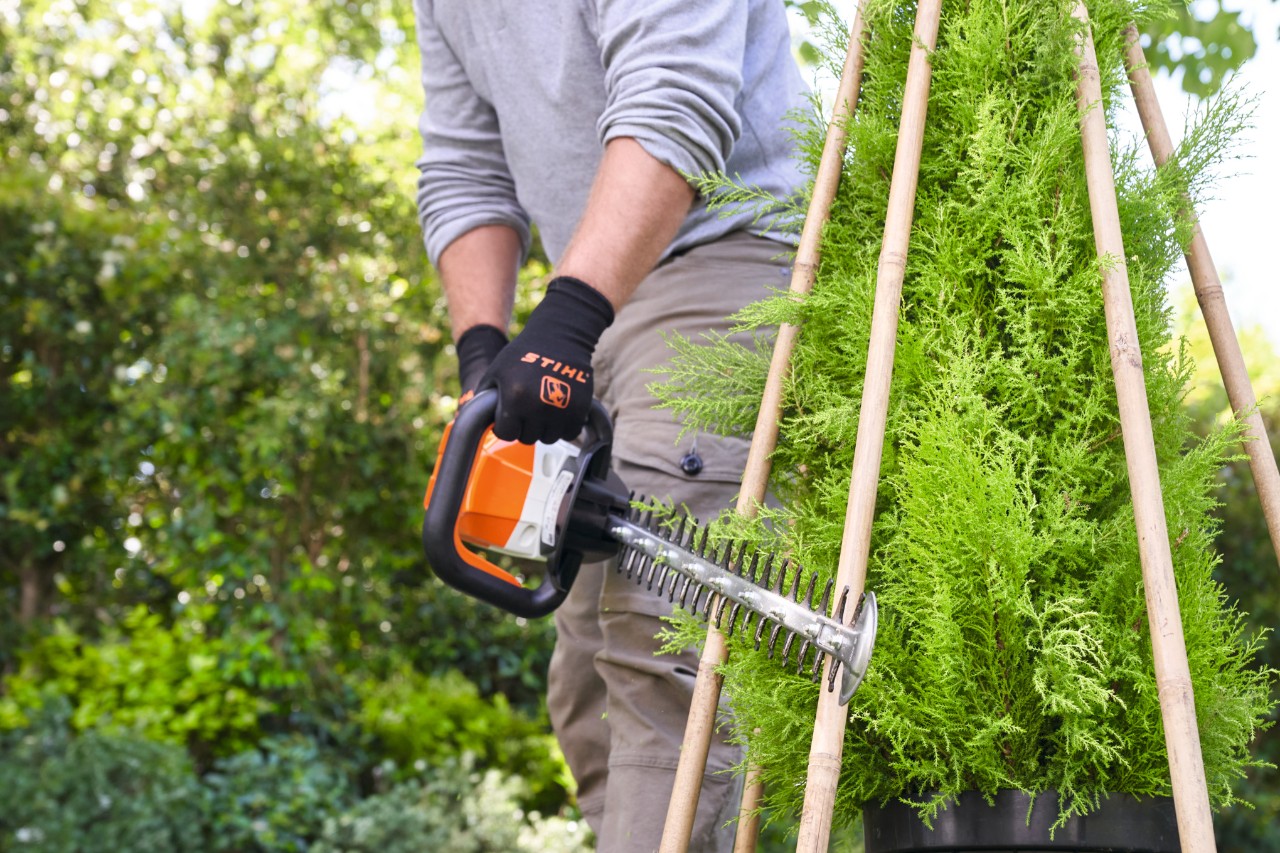 Homme retaillant la plante après repousse avec le taille-haie à batterie STIHL