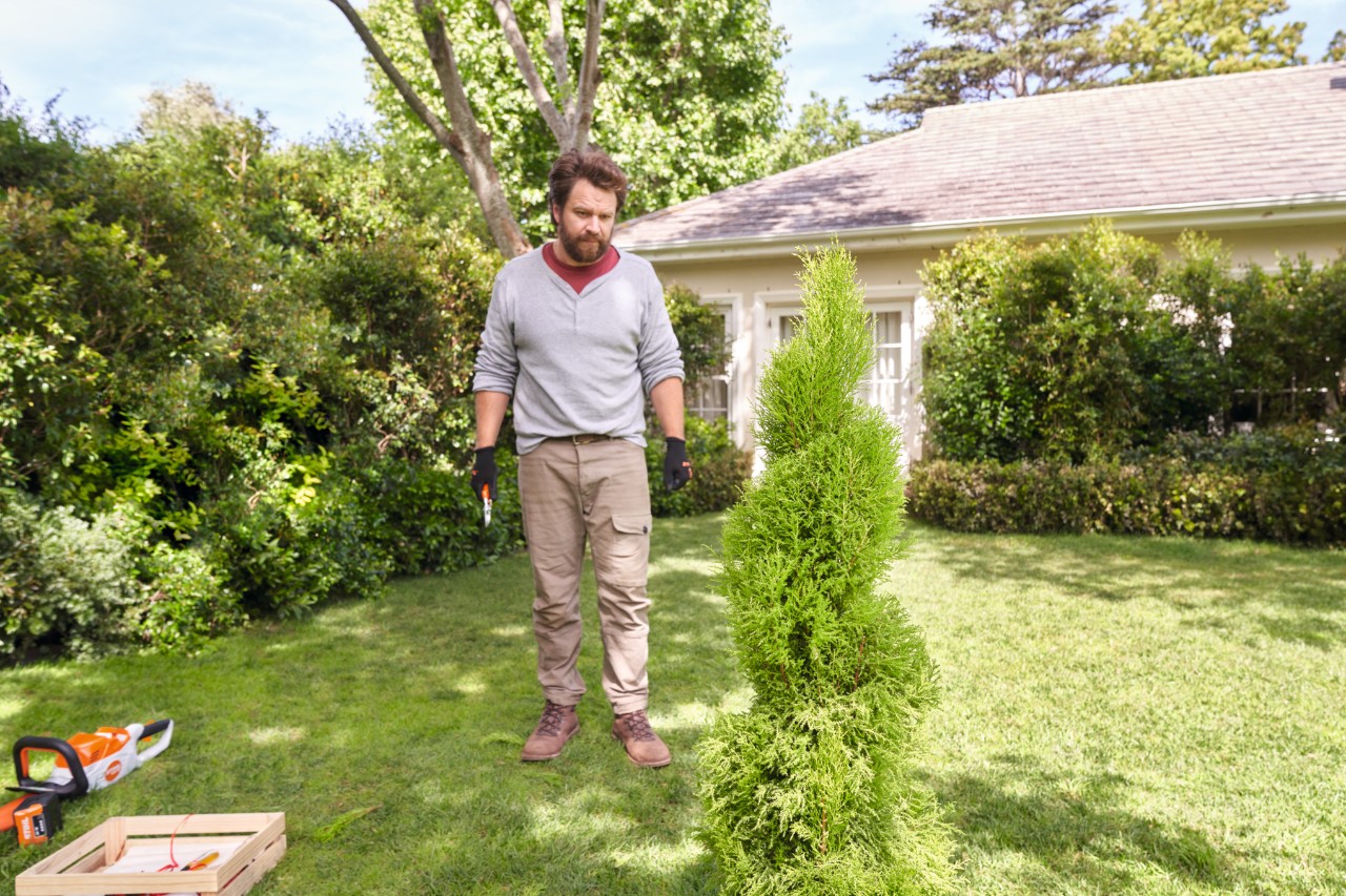 Homme observant la plante taillée en spirale à quelques pas de distance