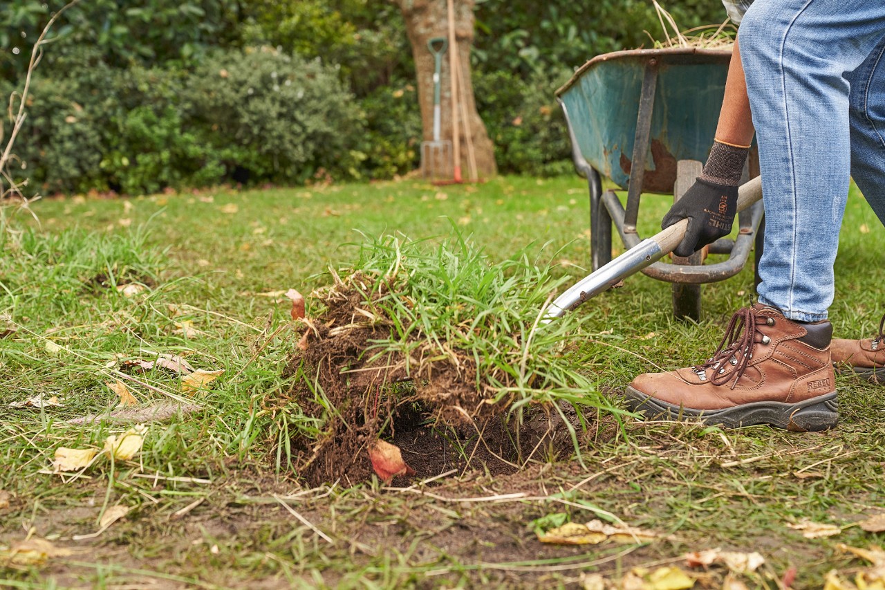 Une personne enlève le gazon du jardin avec une bêche afin de planter une haie