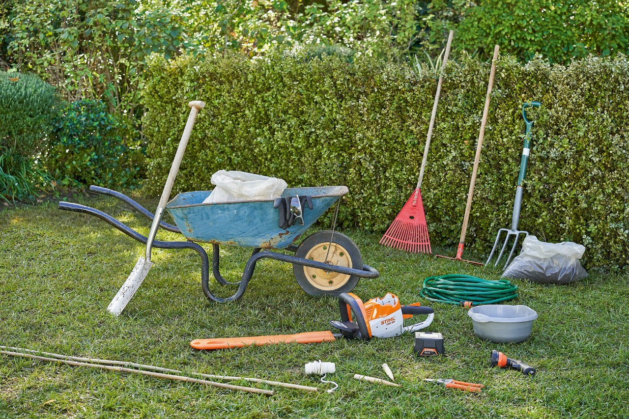 Outils pour planter des haies, dont le taille-haie à batterie STIHL HSA 56 et le sécateur STIHL PG 10