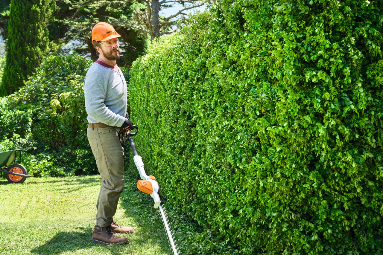 Un homme marche lentement le long d’une haie avec le taille-haie à batterie STIHL HLA 56