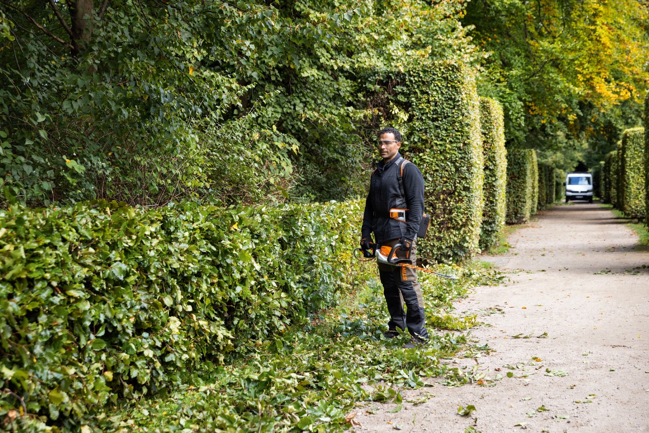 Un homme avec équipement de protection STIHL et taille-haie à batterie STIHL HSA 26 en pleine taille à côté d’une haie plate 