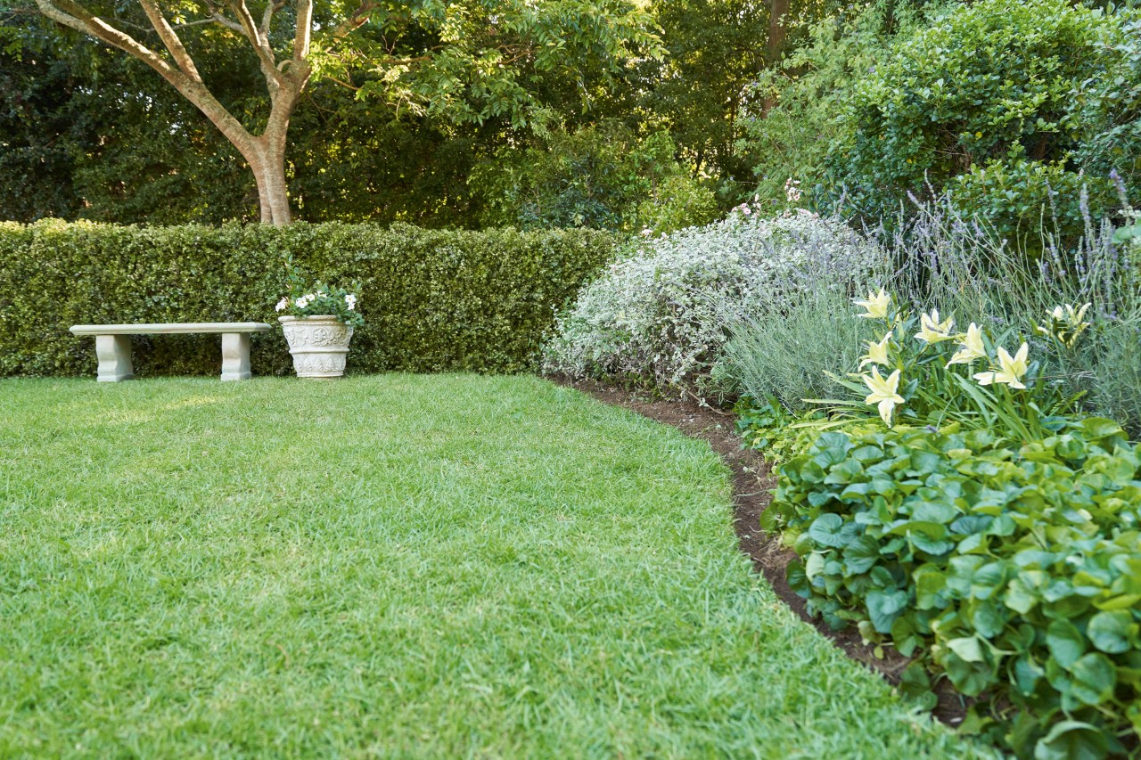 Bordure de gazon à l’anglaise incurvée délimitant un jardin