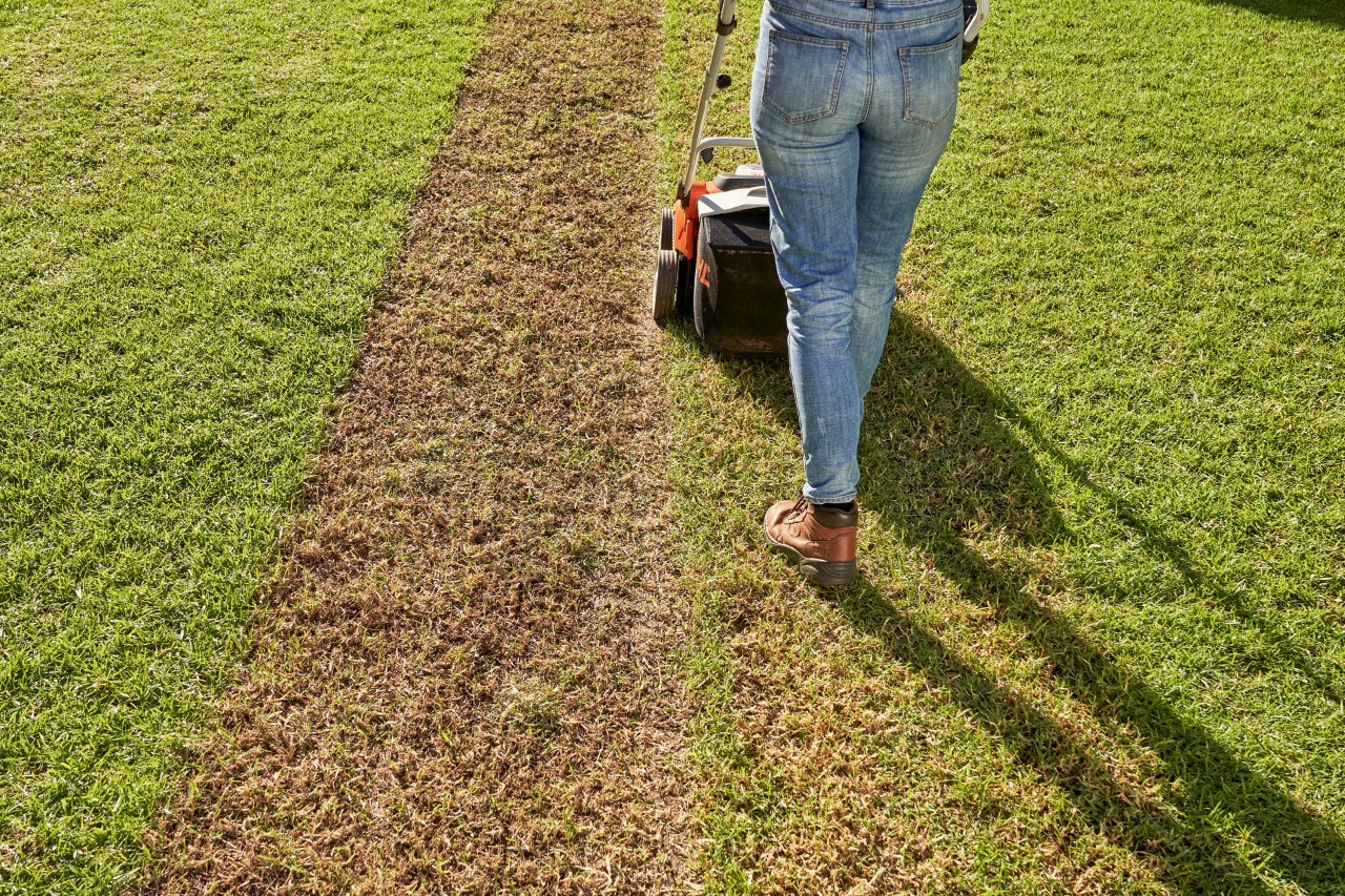 Une femme aère le gazon avec l’aérateur de pelouse sans fil STIHL RLA 240