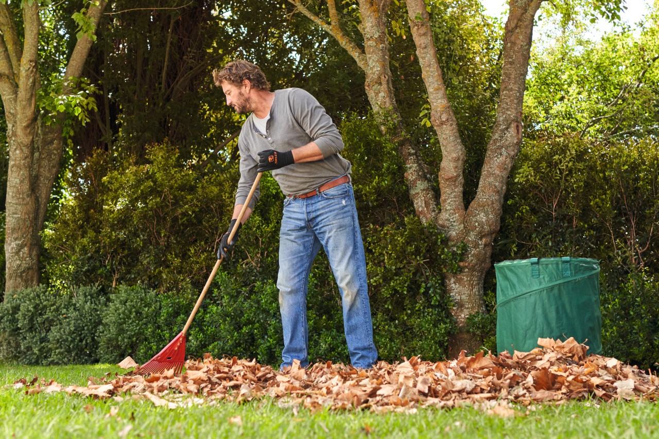 Homme ramassant des feuilles mortes sur un gazon d’ombre