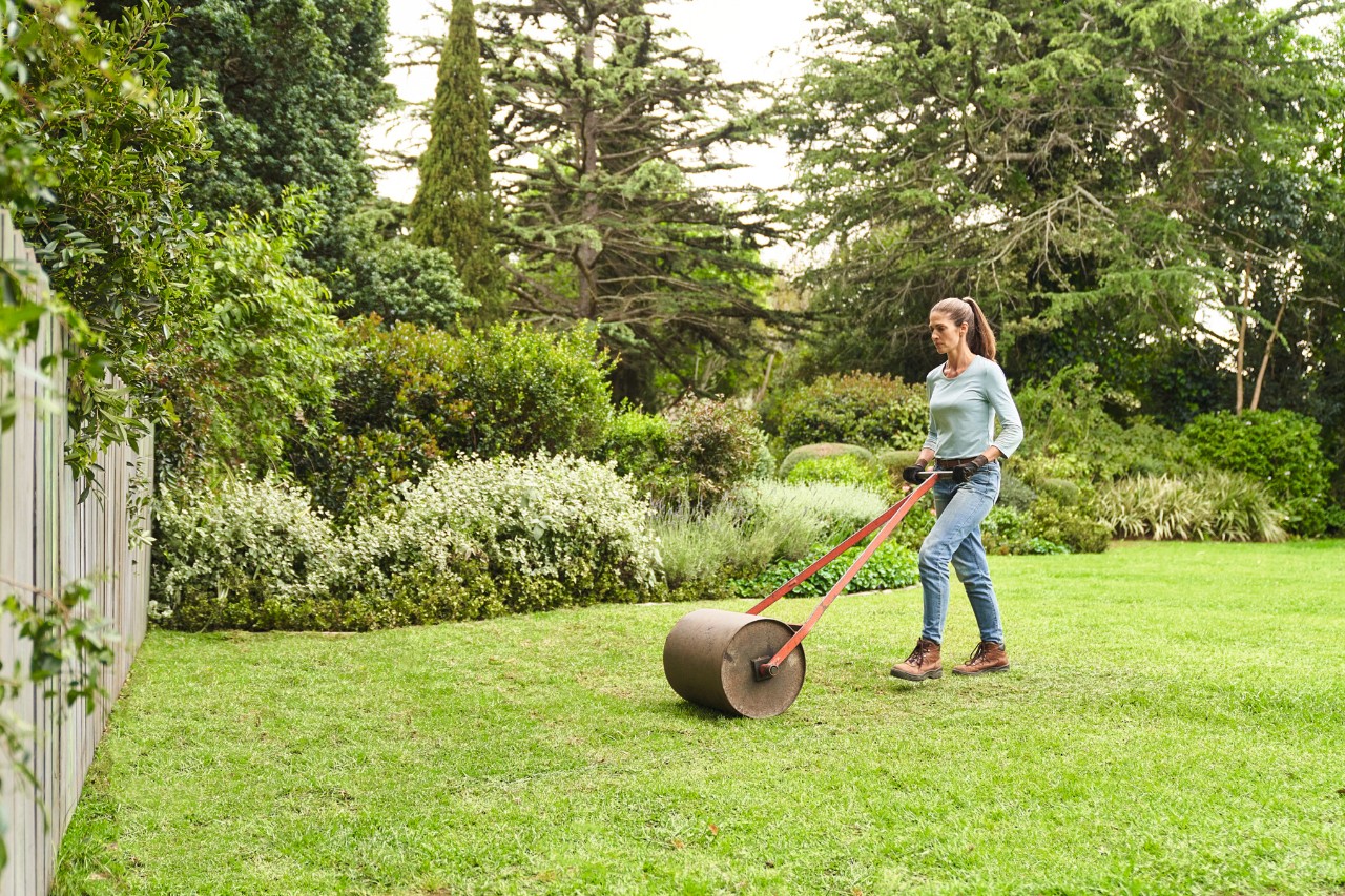 Femme nivelant sa pelouse au rouleau