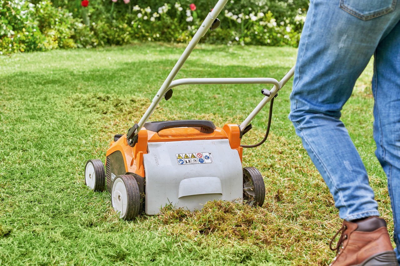Personne scarifiant une pelouse avec un scarificateur électrique STIHL RLA 240 en vue d’une rénovation pelouse