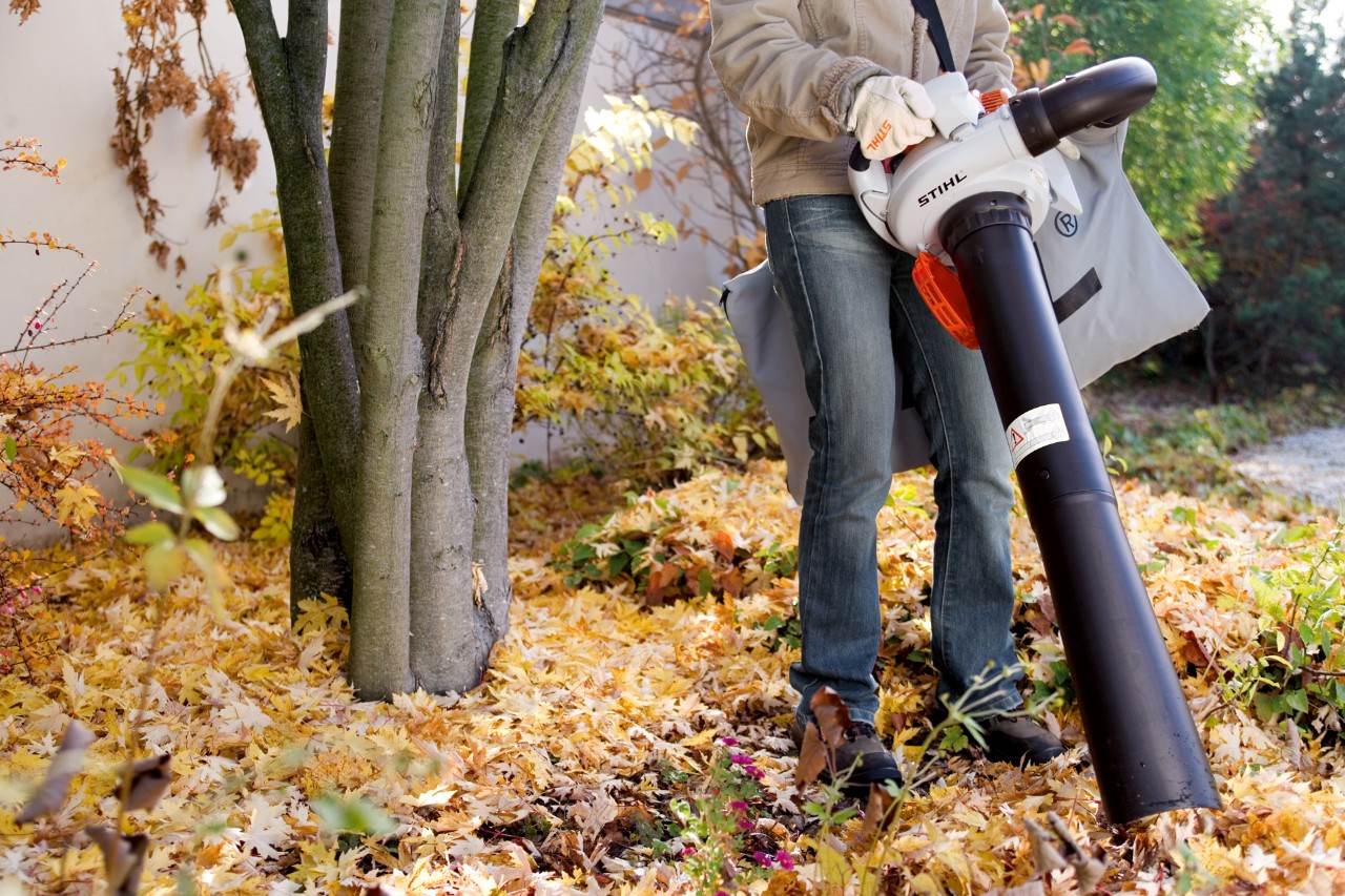 Un aspirateur de feuilles à main STIHL SH 56 est utilisé pour le ramassage des feuilles mortes à côté d’un arbre