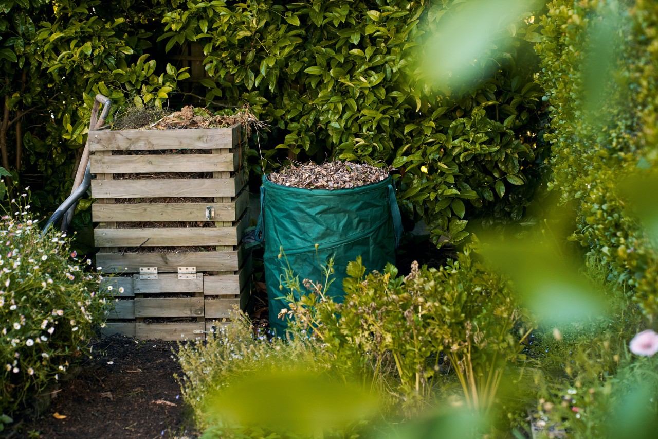 Un sac de feuilles à côté d’un bac à compost en bois devant une haie verte