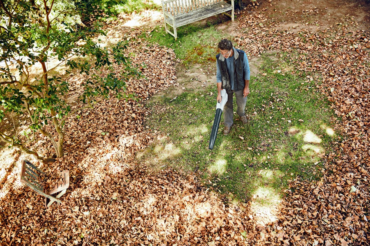 Vue d’un homme qui se sert d’un souffleur de feuilles sur batterie STIHL BGA 56 sur un vaste gazon couvert de feuilles