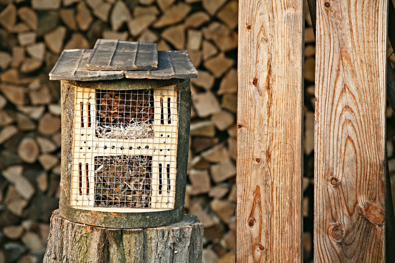 Hotel pour insectes