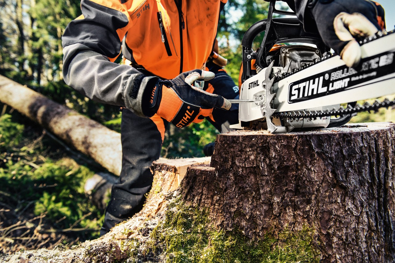 Une personne en tenue de protection dévisse le couvercle du pignon à chaîne d’une tronçonneuse STIHL MS 461 sur un tronc