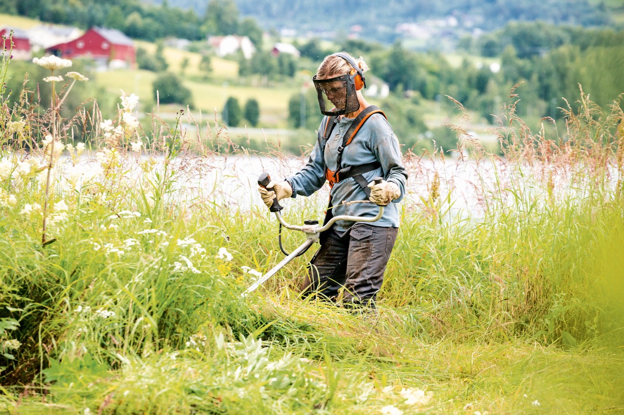 Débroussailleuse à essence STIHL&nbsp;FS&nbsp;240 et sécurité au travail dans les herbes hautes