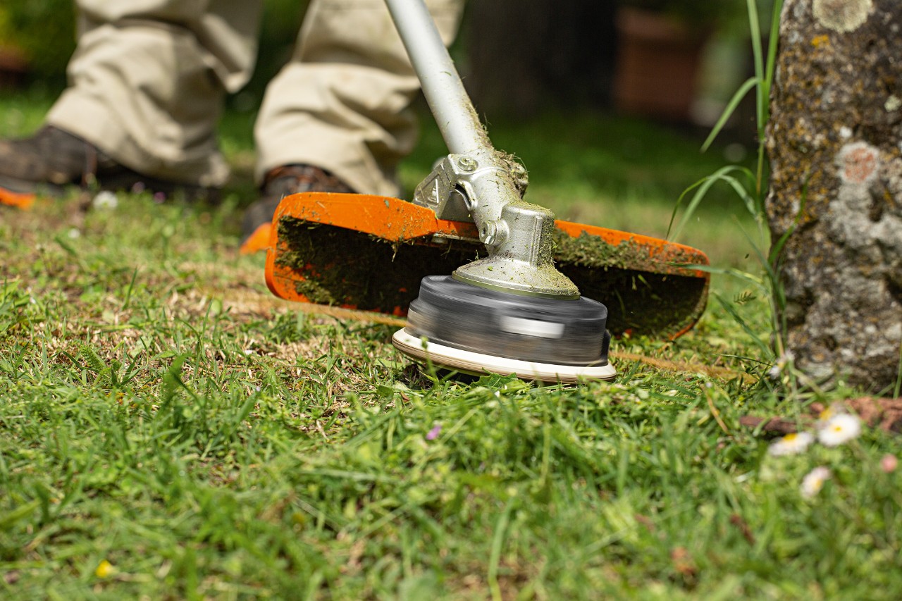 Gros plan d’une débroussailleuse STIHL FS 240 en action près de la base d’un arbre