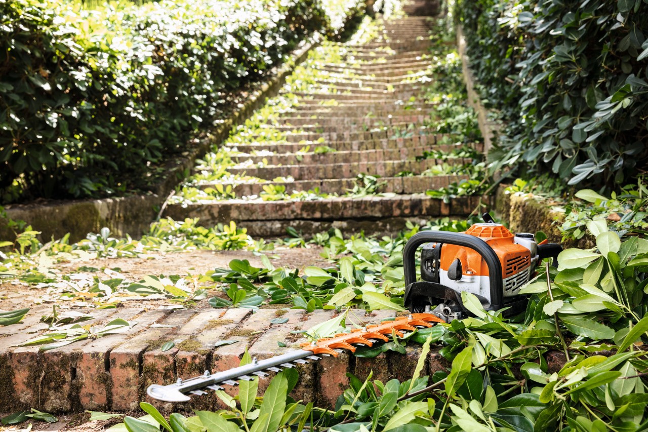 Le taille-haie à essence STIHL HS&nbsp;82&nbsp;T se trouve entre les feuilles vertes d’un escalier avant l’entretien