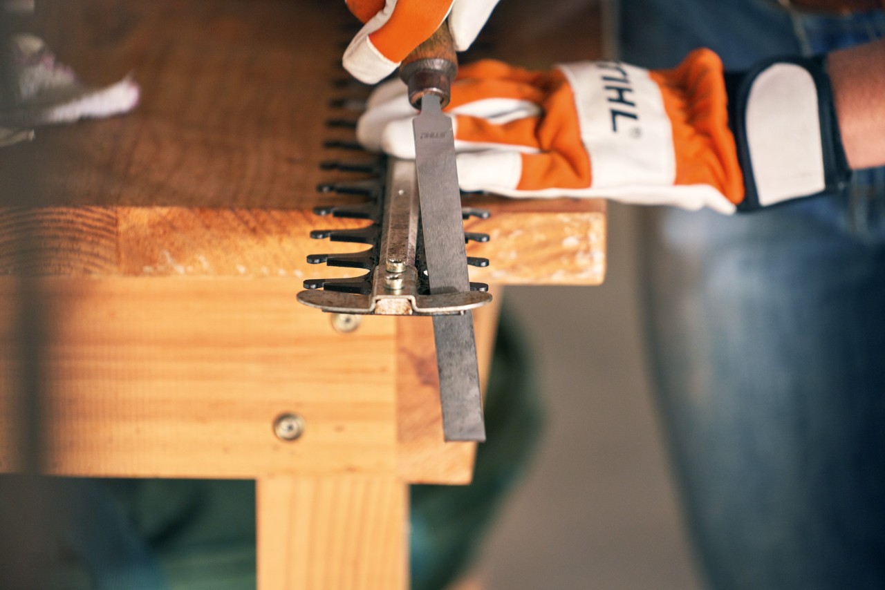 Le taille-haie à batterie STIHL HSA 56 est affûté avec une lime plate