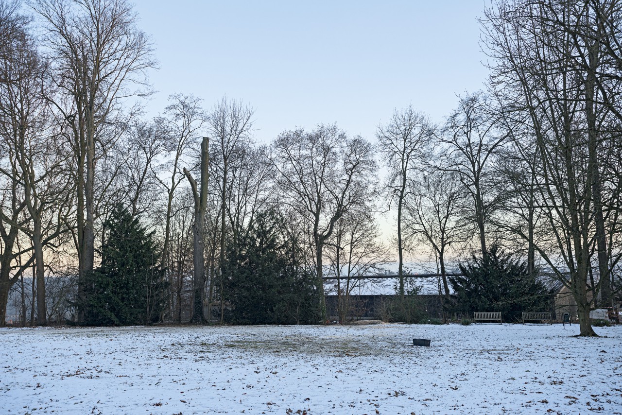 Paysage d’un terrain ouvert couvert de neige, avec des arbres sans feuilles autour
