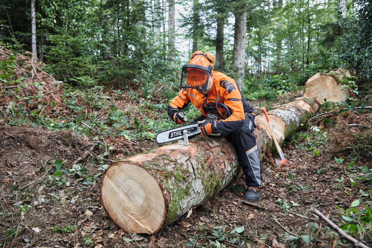 Homme en équipement de protection débitant un arbre abattu avec une tronçonneuse STIHL à guide-chaîne plein