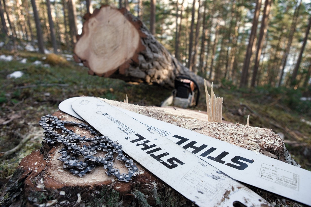 Chaînes et guide-chaînes STIHL sur une souche d’arbre en forêt, en arrière-plan un arbre fraîchement scié 