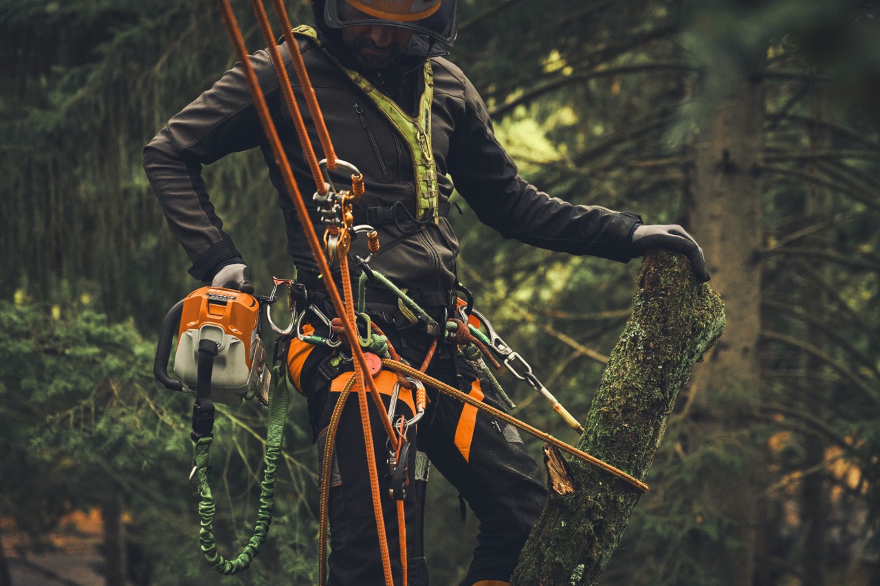 Homme debout sur un pont élévateur sciant des branches avec la tronçonneuse à batterie STIHL MSA 190 T