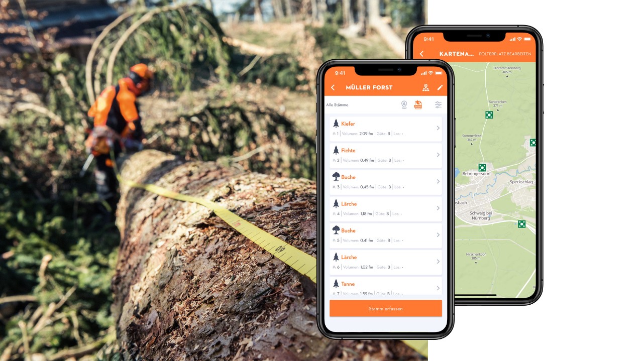 Collage avec un arbre, un mètre ruban et des écrans de smartphone avec l’application Liste de bois STIHL