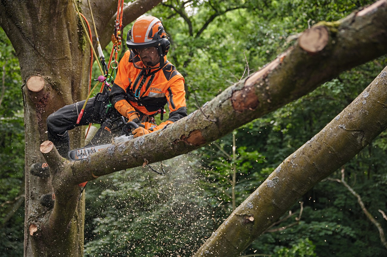 Arboriste travaillant avec la tronçonneuse à batterie STIHL MSA 220 TC-O à la cime d’un arbre, équipé d’un équipement de protection individuelle pour travaux forestiers
