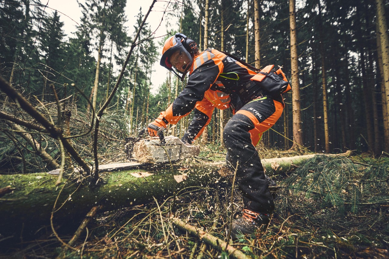 Travailleur forestier ébranchant avec la tronçonneuse à batterie STIHL MSA 300 et un EPI complet pour travaux forestiers