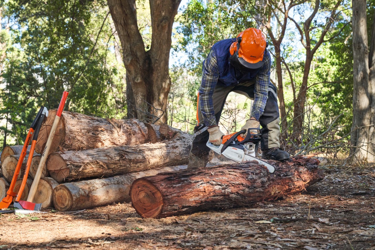 Un homme coupe une souche d'arbre ave une tronçonneuse STIHL