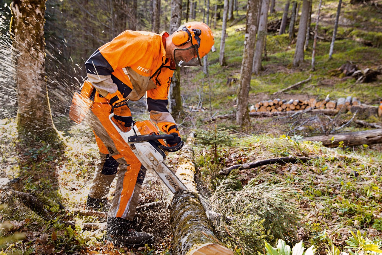 Ouvrier forestier en vêtements de protection STIHL avec un pantalon Dynamic Vent (classe de protection anti-coupures 1) coupant un arbre en forêt avec une tronçonneuse STIHL