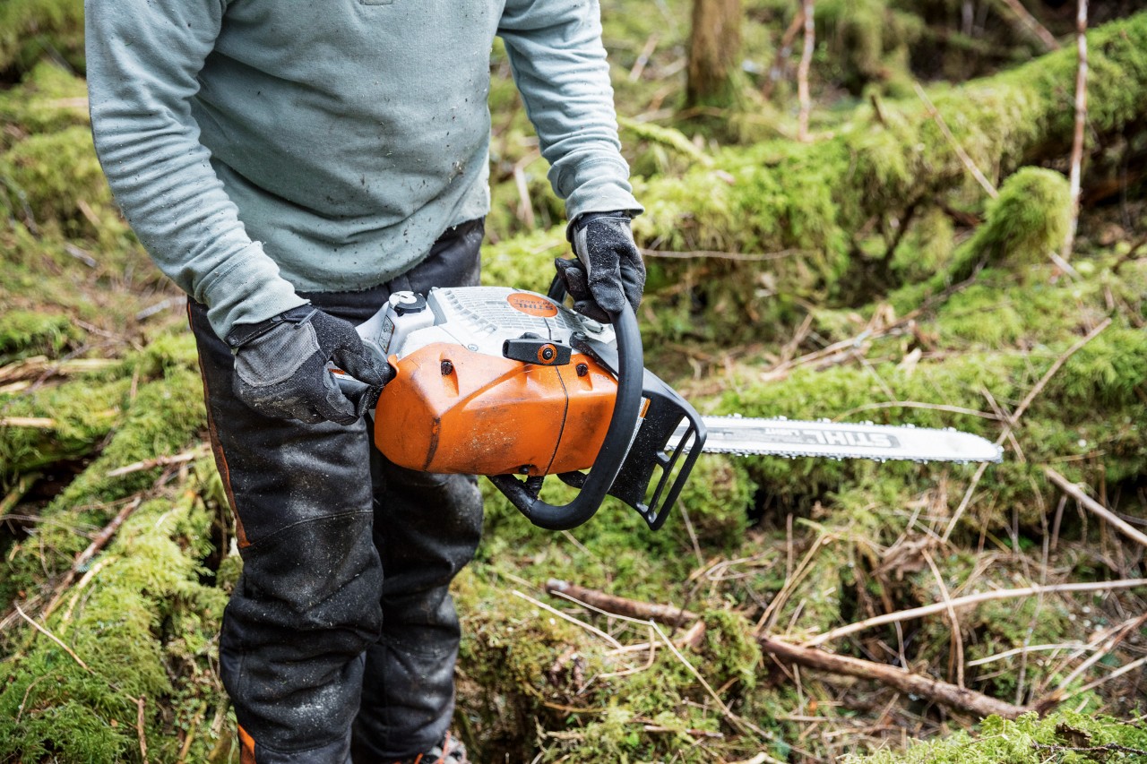 Personne avec une tronçonneuse STIHL MS 462 C-M avec chauffage par carburateur dans la forêt entre des troncs d'arbres