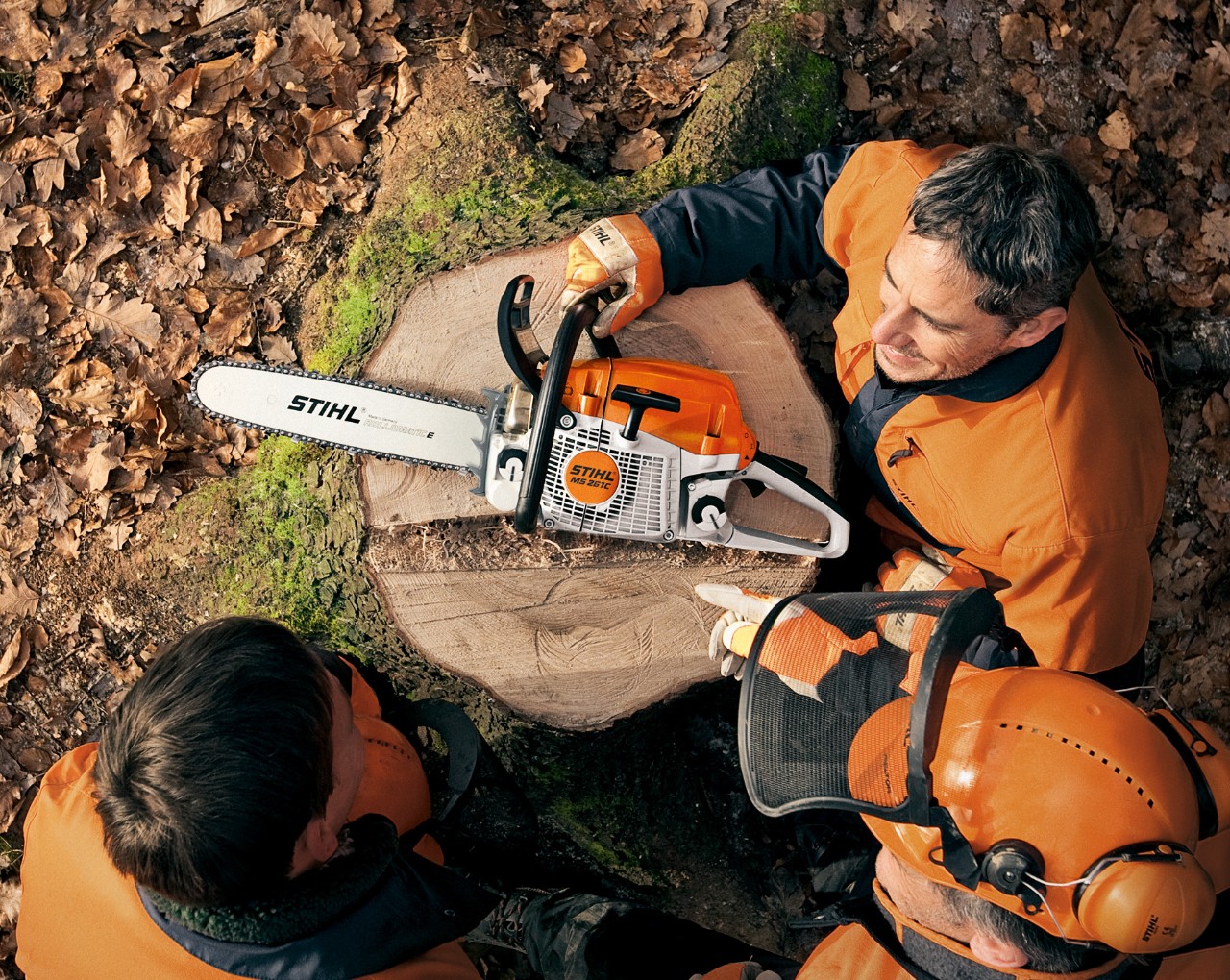 Tronçonneuse thermique STIHL MS 261, posée sur une souche d’arbre, entourée de personnes équipées de protection