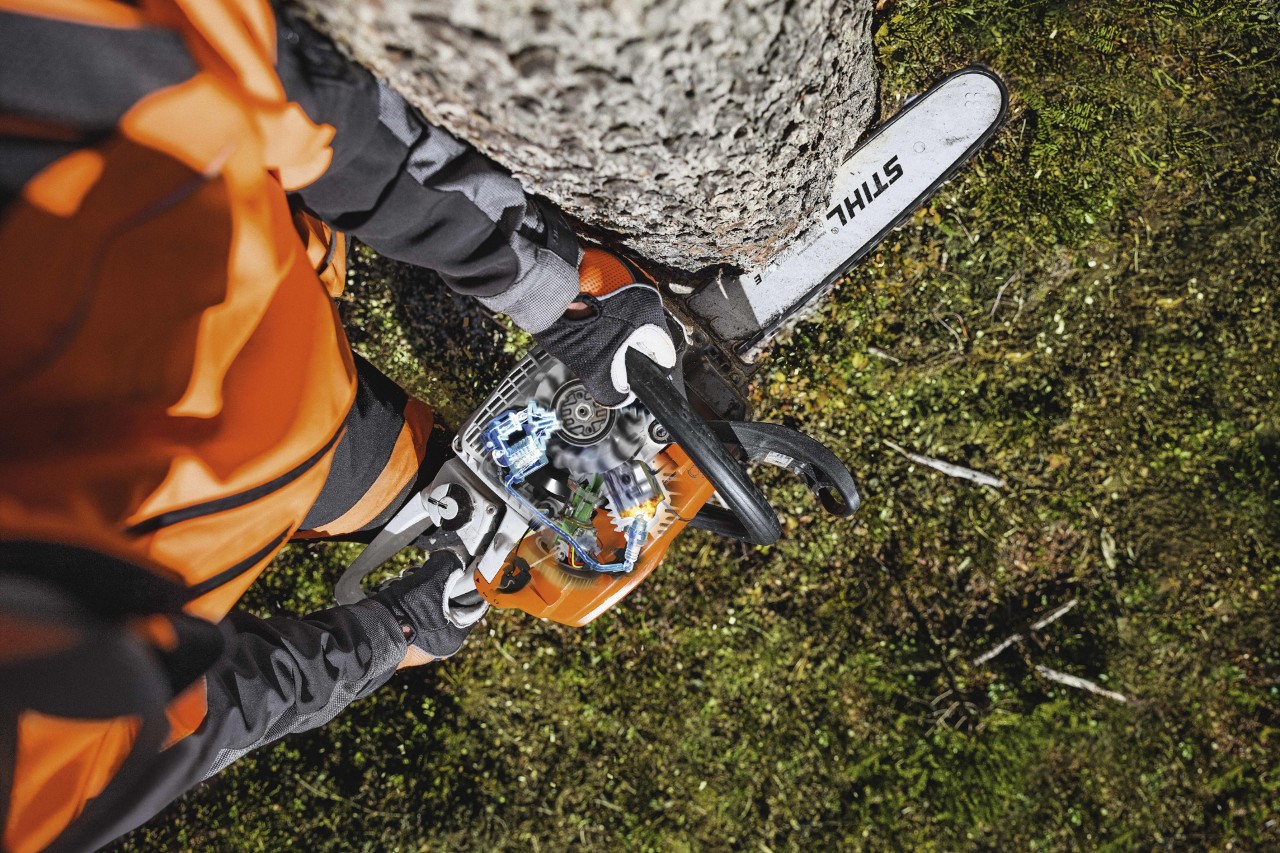 Vue en plongée d’un arbre en train d’être abattu avec une tronçonneuse STIHL MS 261 C-M